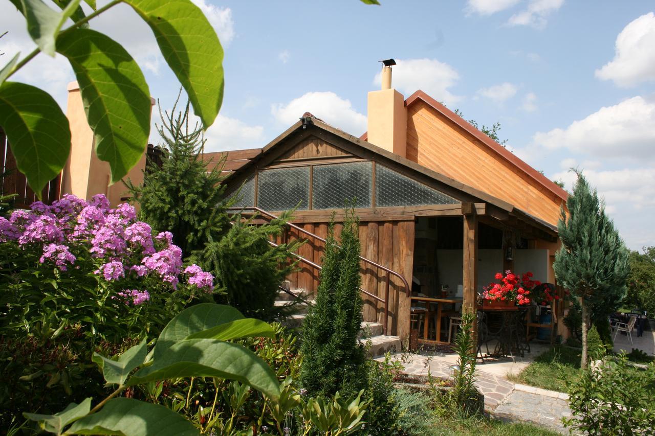 Penzion Hugo Sedlec-Prcice Exterior photo